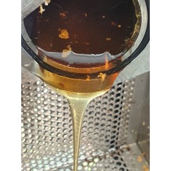 Extraction du miel de Provence