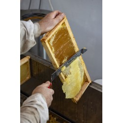 Cadre miel de Provence : désoperculassion