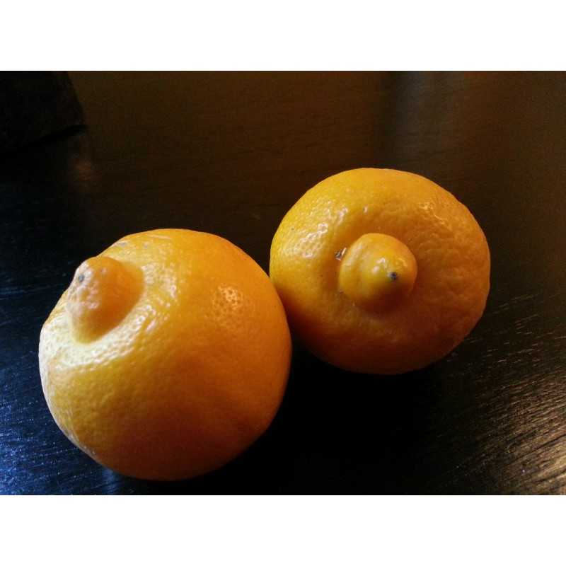 Le fruit la bergamotte